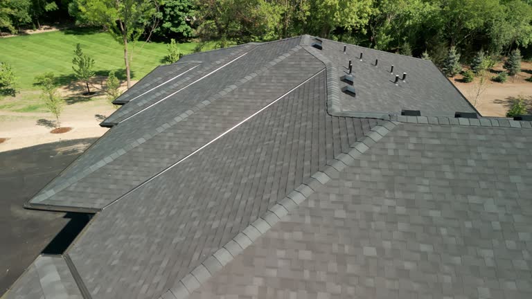 Best Roof Moss and Algae Removal  in Arcola, TX