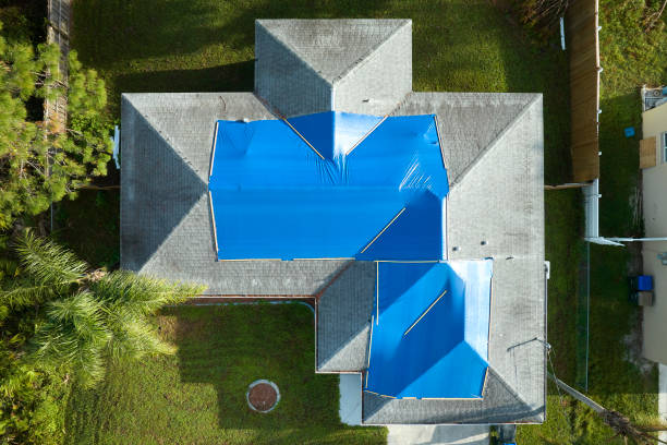 Best Roof Coating and Sealing  in Arcola, TX