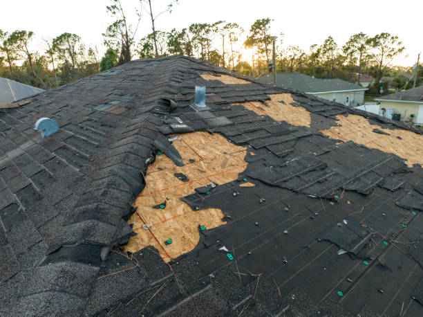 Best Asphalt Shingle Roofing  in Arcola, TX